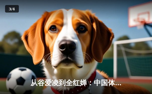 从谷爱凌到全红婵：中国体育新生代的崛起与挑战 - 3